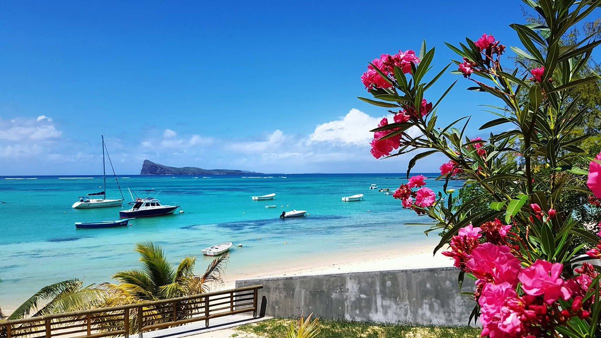 Mauritius Island tweet media