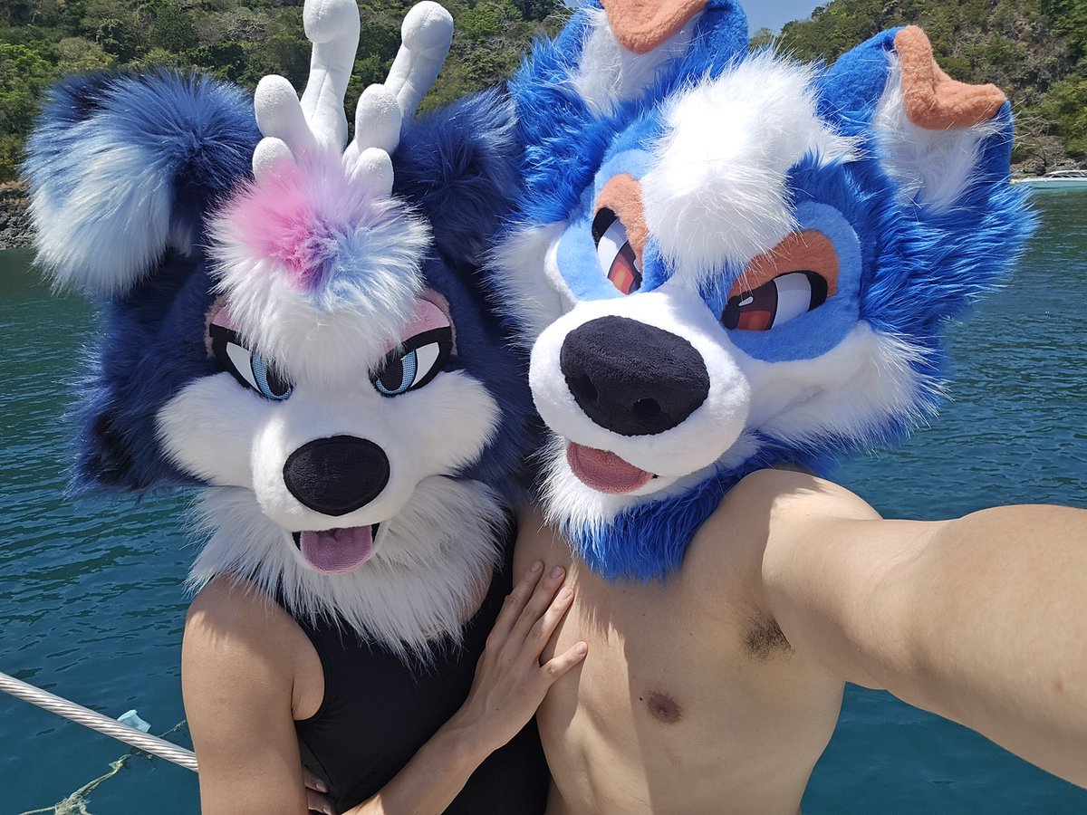 AuroraCollie 🦌 tweet media