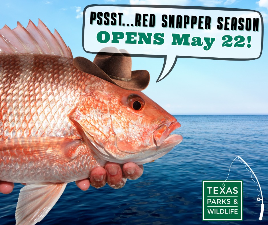 Texas Parks & Wildlife tweet media