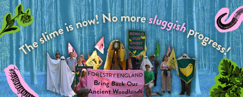 XrSouthEastUK's tweet photo. On Tuesday 19th May 2026 the world's largest gathering of people dressed as slugs will process from Parliament Square to DEFRA HQ to hand in a petition for Wild Card's #RewildTheGhostWoods campaign.
More info and sign up on the event page!
#Slugs 
https://t.co/Tk8YZVWGgI https://t.co/vy0i7Rf5vF