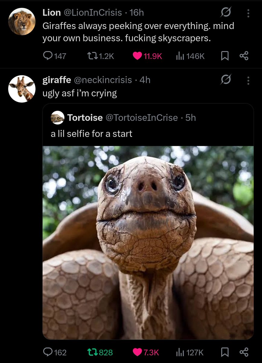 Gurp tweet media