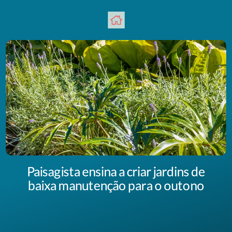 casacombr's tweet image. 🍂🌱 O outono chegou e é hora de repensar o seu jardim! O especialista Julio Sousa ensina como criar espaços lindos e de baixa manutenção. Escolha plantas adaptadas e prepare-se para um paisagismo eficiente! #Jardinagem #Outono... mrf.lu/FpKn