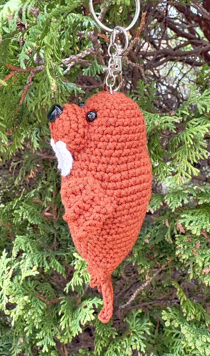 Knitty Kitty tweet media