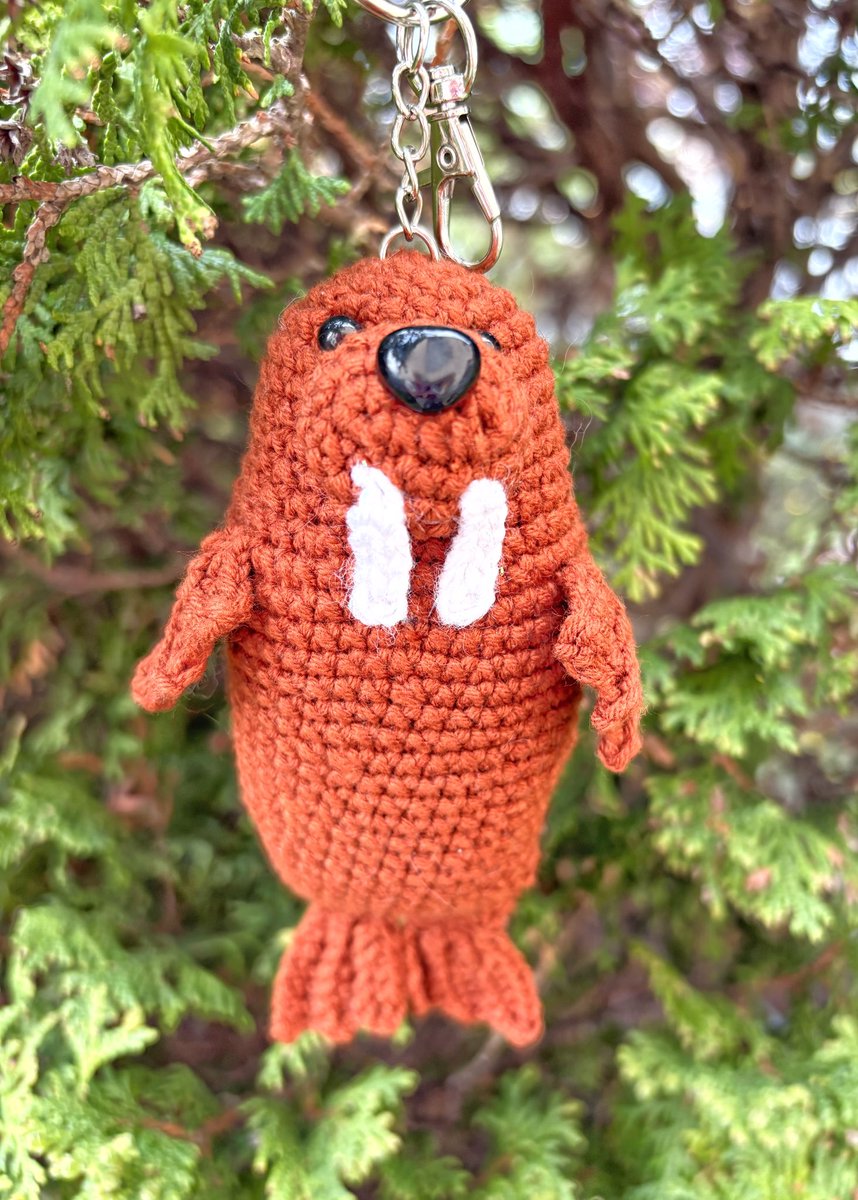 Knitty Kitty tweet media