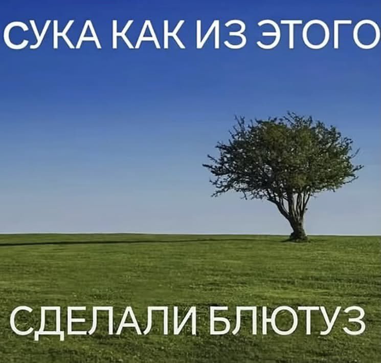 Можно просто Марк tweet media