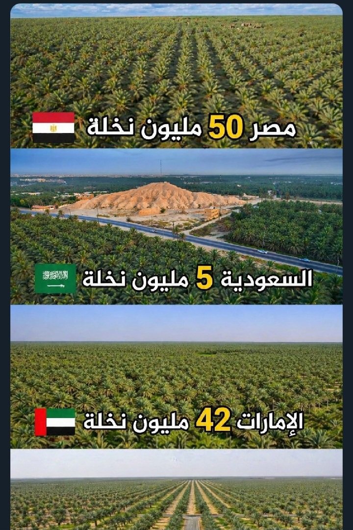 ​ حور العين 🇯🇴 tweet media