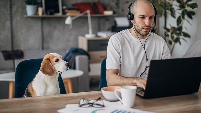 Crown_Financial's tweet image. 1 In 5 Americans Are Still Working From Home #WorkingFromHome
 buff.ly/KVVVvSV