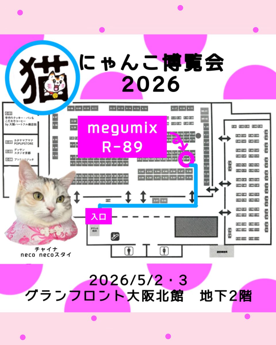 大阪に着きました🚌❣️ 本日から2日間、 にゃんこ博覧会に出店します
