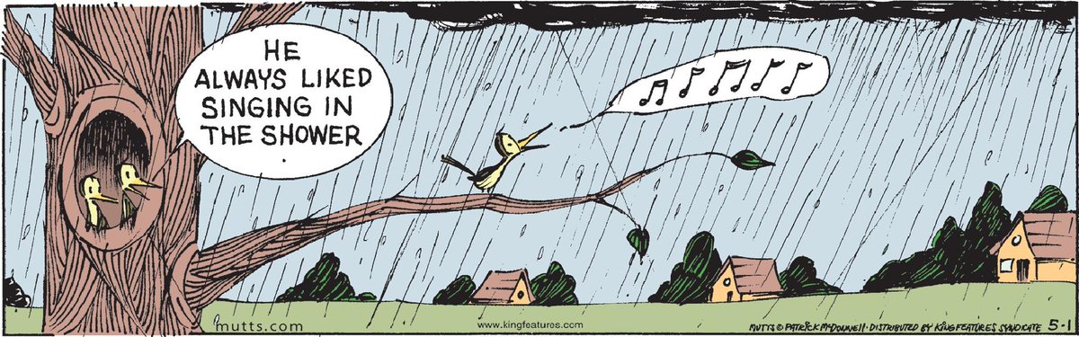 ComicsKingdom's tweet photo. Shower singer energyβ¦ just took it outdoors ππ§οΈ
#Mutts #MuttsComics https://t.co/A6avf6lQu7