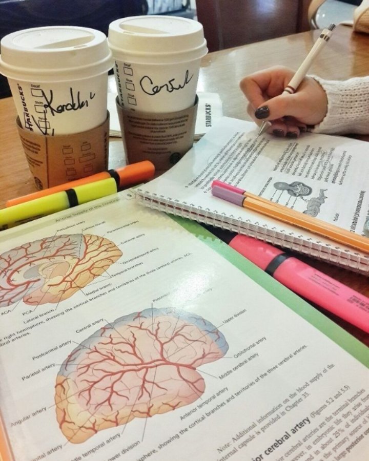 Aguir_Darwin's tweet photo. Hoy nos pusimos a estudiar con unas amigas https://t.co/3H6qli86vd