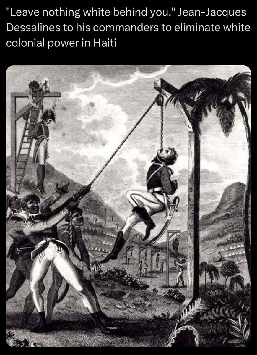DESSALINES SPIRIT🌐⬛️🟥🇭🇹 tweet media