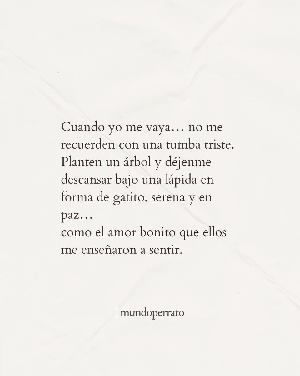LUISASORIANOBRU's tweet photo. https://t.co/oM7Rz55ZbC