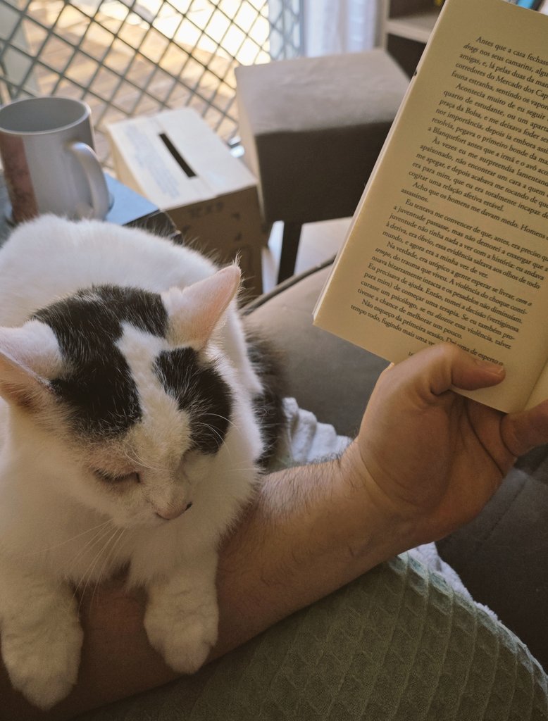 "Vou ficar aqui até vc largar esse livro"