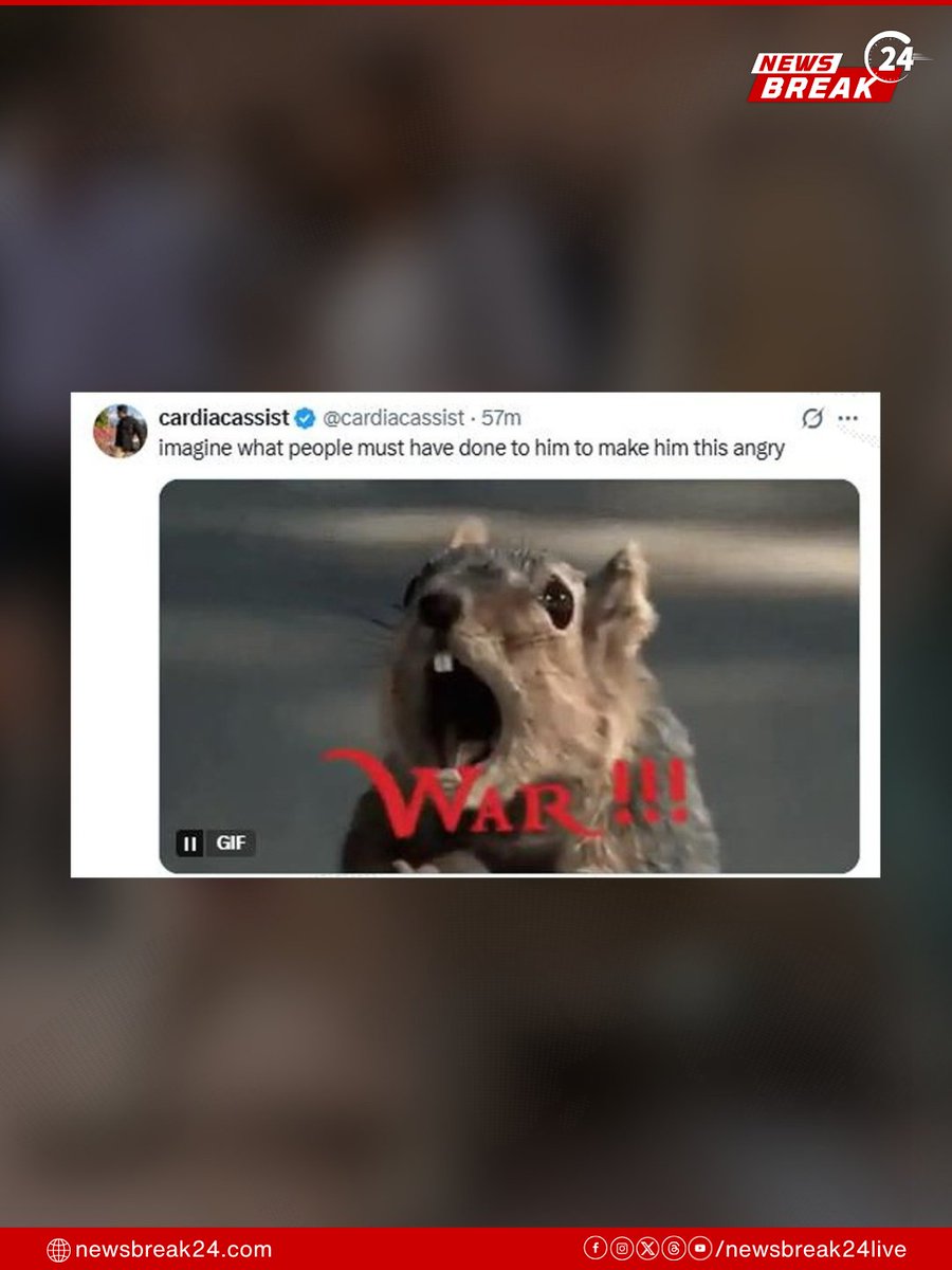 NewsBreak24Live's tweet image. In Rajasthan, a squirrel reportedly bit around 20 people on a campus, causing panic.

Victims received treatment, with precautions for Rabies advised.
.
.
.
.
#Rajasthan #ViralNews #AnimalAttack #CampusAlert #PublicSafety #Wildlife
