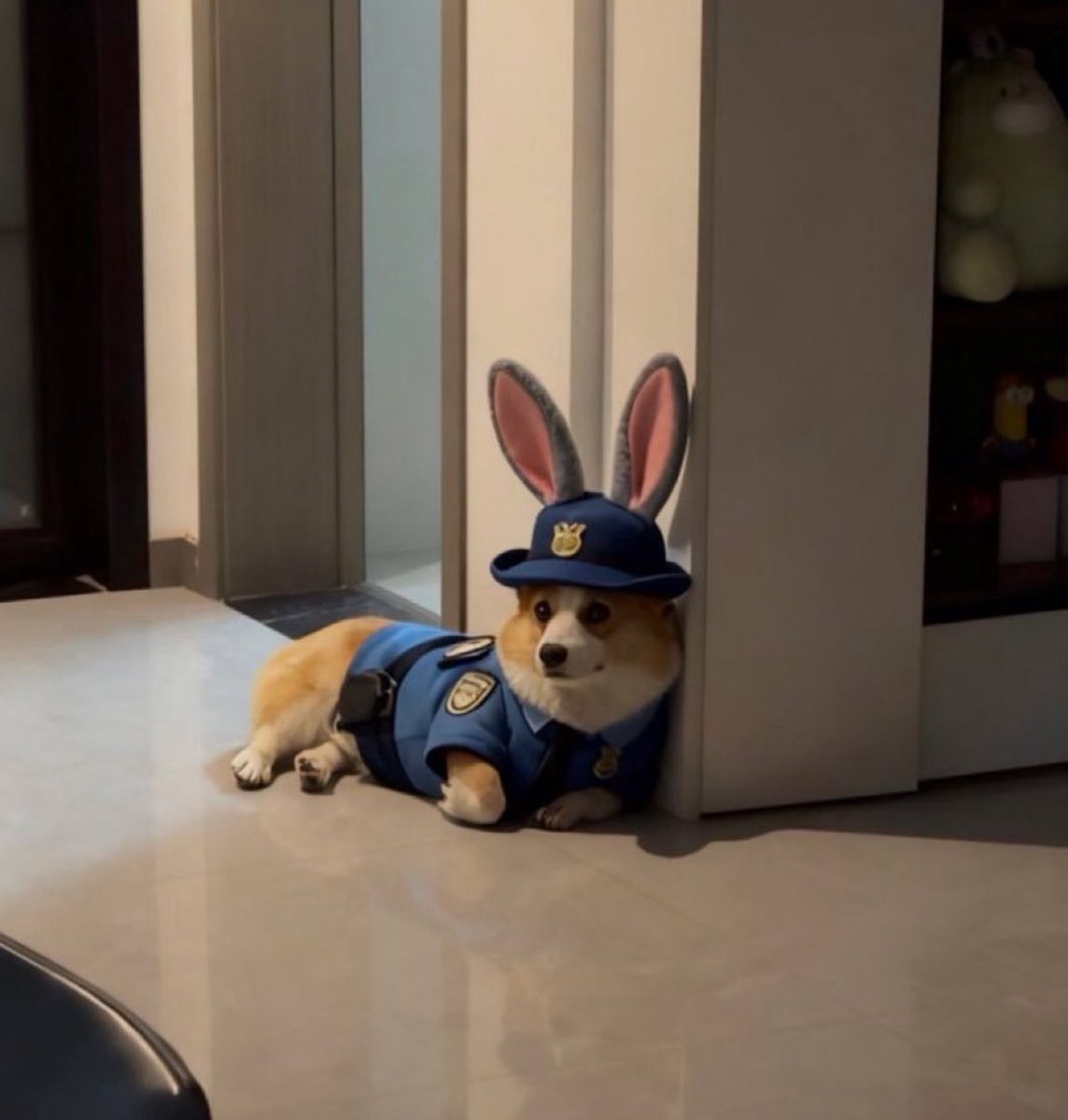 犬しか勝たん tweet media