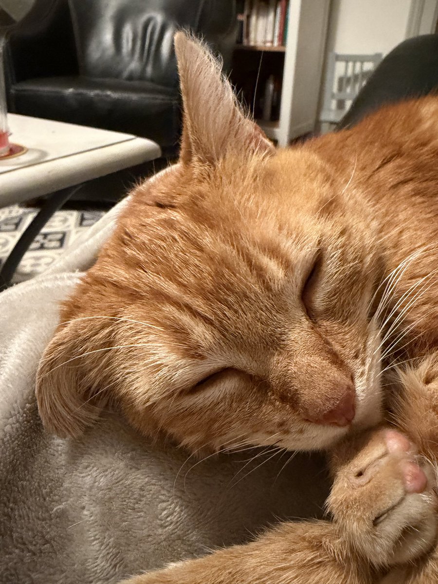 et_spirou's tweet photo. Lhumain il dit ke je suce mon pouce : on è daccord kil n’a pas de preuve 😹😹😹 https://t.co/CT9aMk6pad