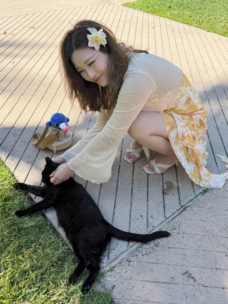 Janet Supremacy tweet media