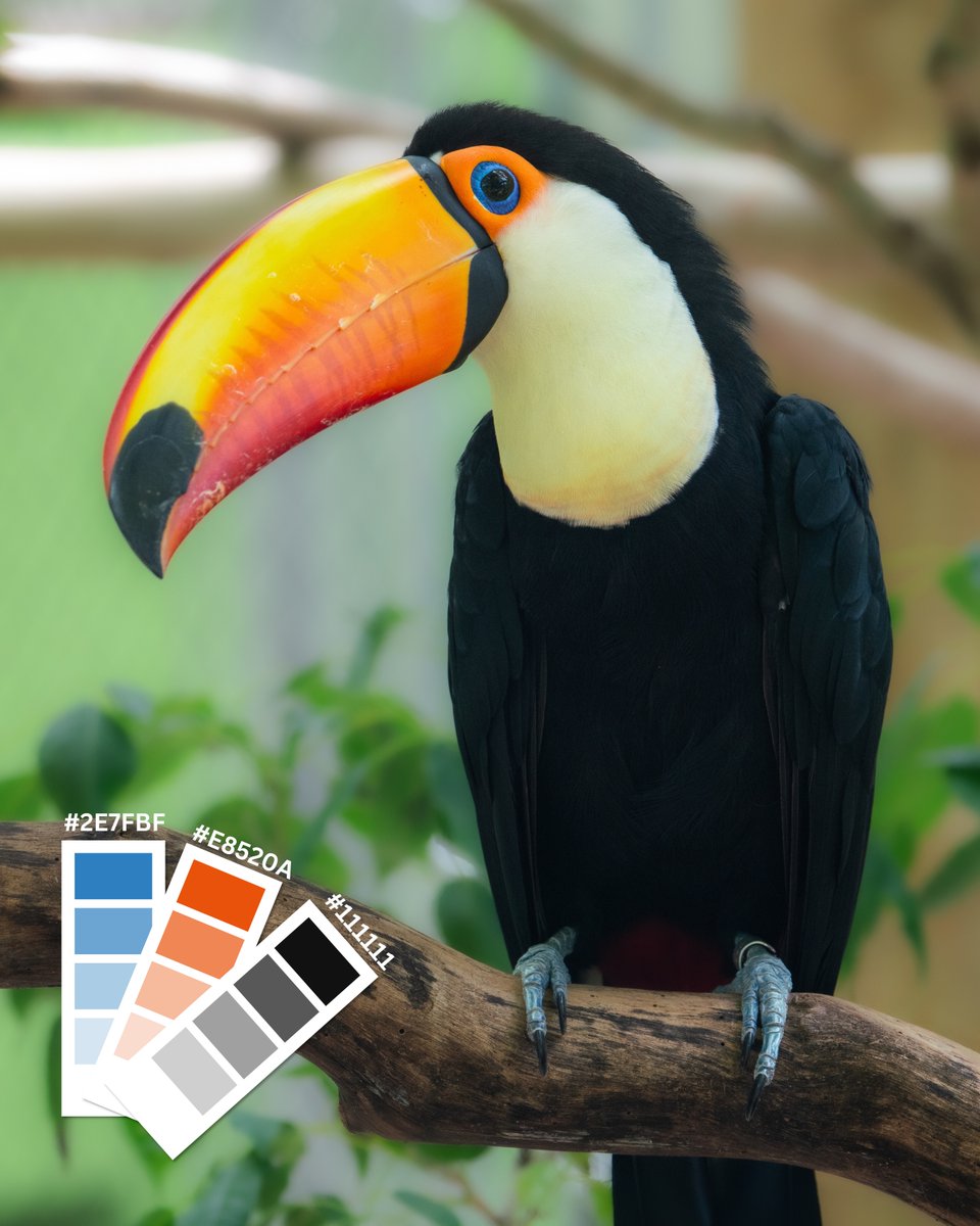 Naples Zoo tweet media
