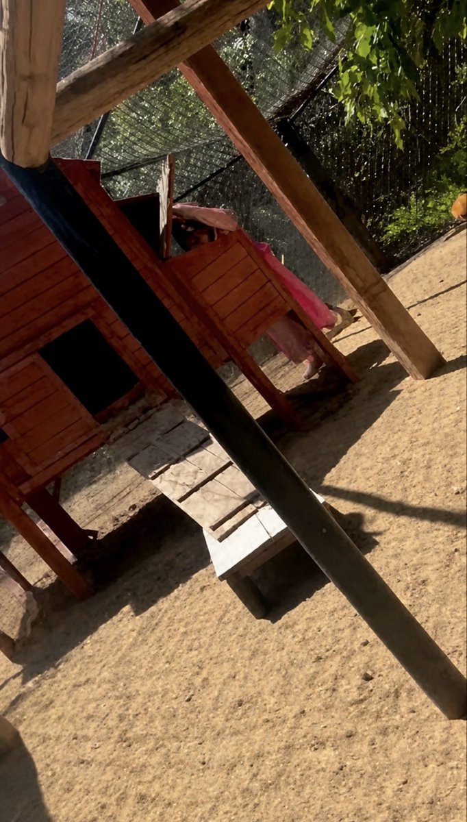 NickyGizzy's tweet image. Little miss Lili checking for eggs in her pink outfit is just what I needed to see 🥰 these kids are growing up learning about food, animals, nature, this is so awesome ☺️ 
#PrincessLili
#MeghanMarkle
#PrinceHarry
#HarryAndMeghan
#SussexKids
#SussexSquad