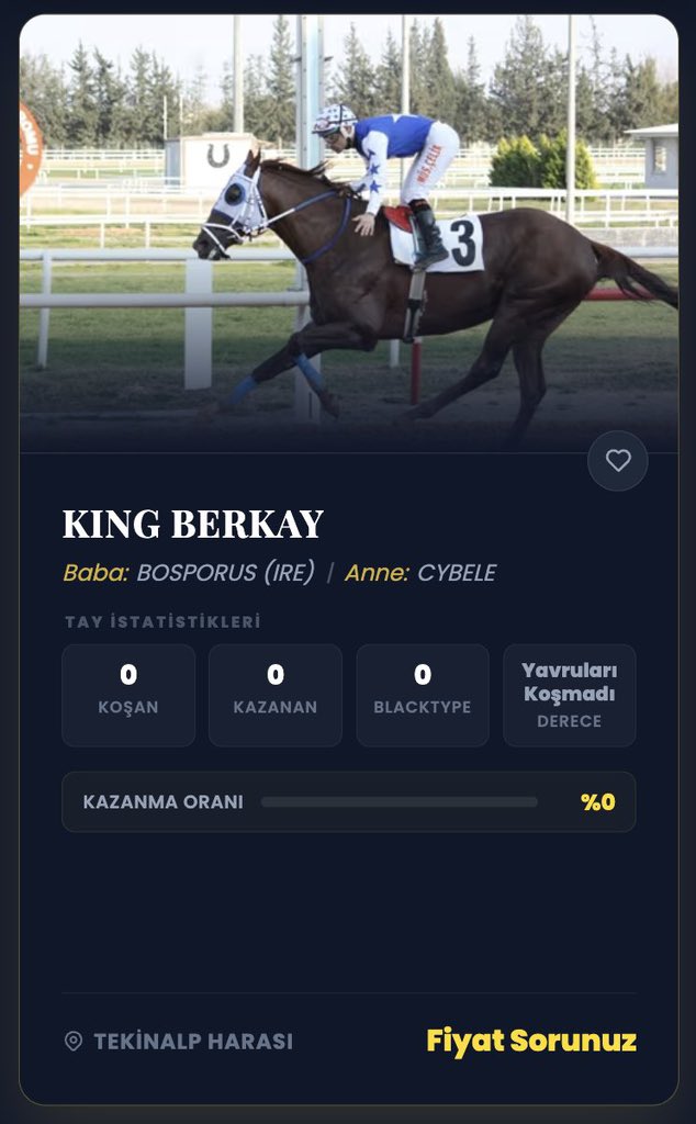 Dilmaç ekürisi Ahmet dilmaç 🏇 tweet media