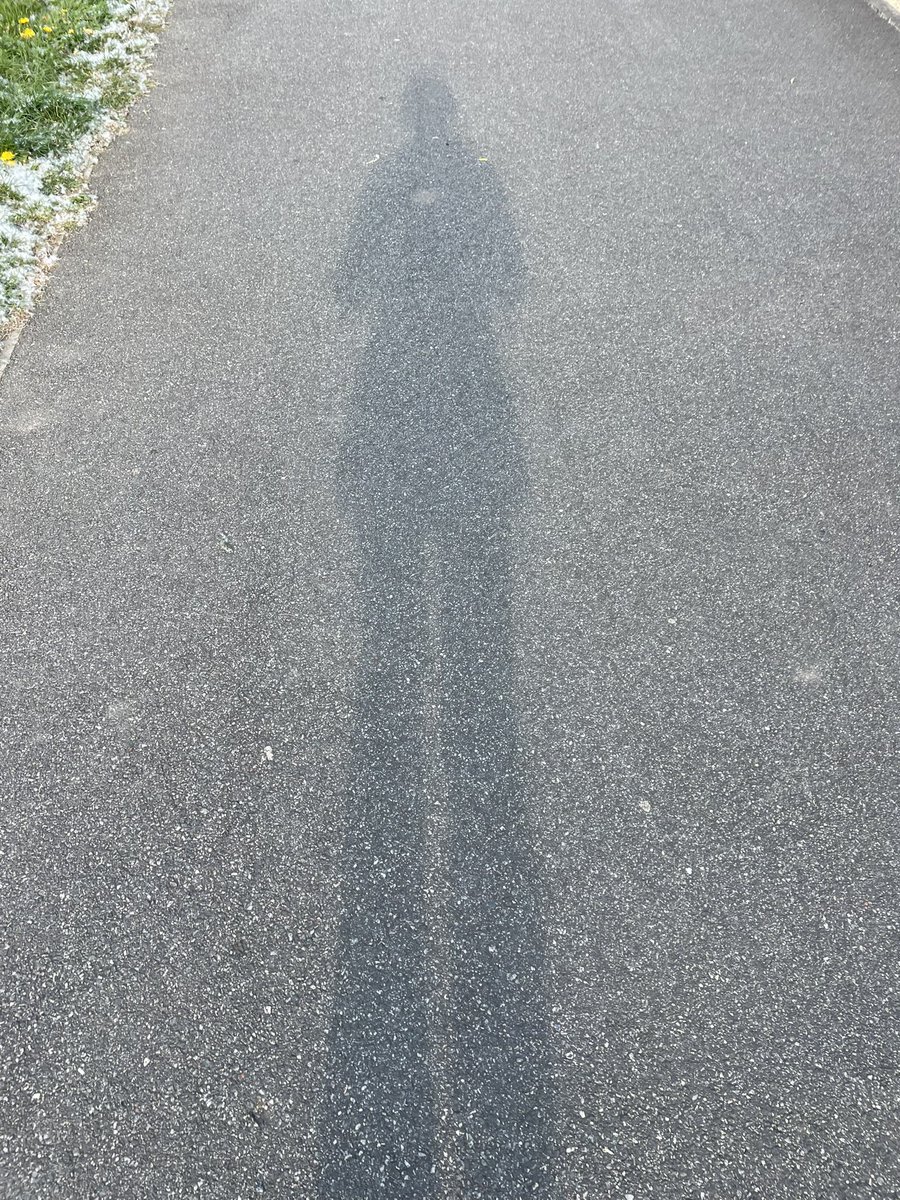 devereux1655's tweet image. Tonight’s walk - the white carpet under the trees - looked like snow ❄️❄️🌳🌳#trees #wishes #walking #shadows