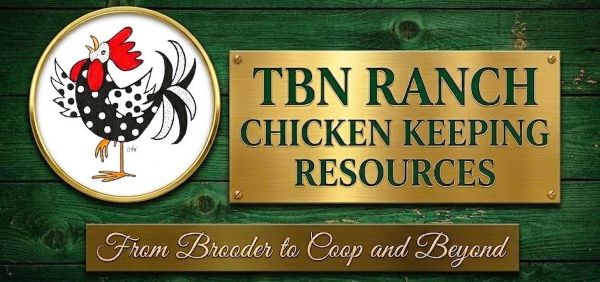 TBNRanch's tweet image. Thinking about raising chickens? tbnranch.com
#chickens, #homesteading