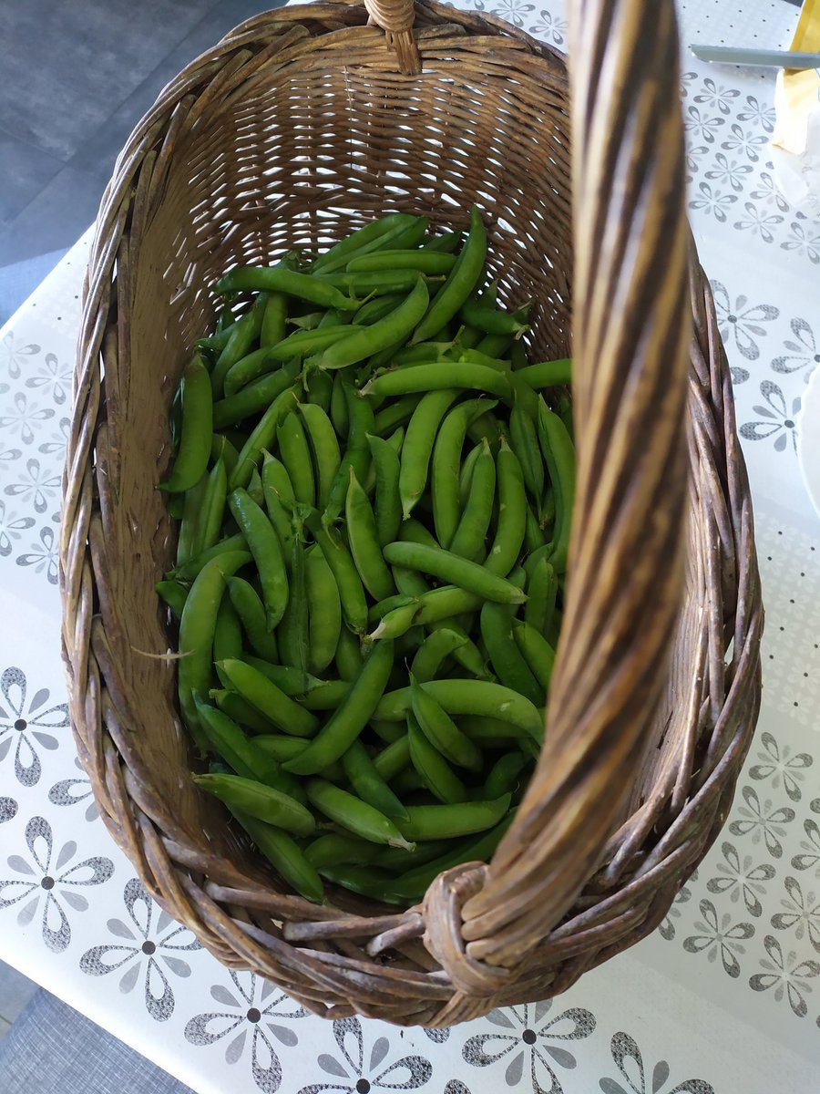 🌱Manu🌱☯️ tweet media