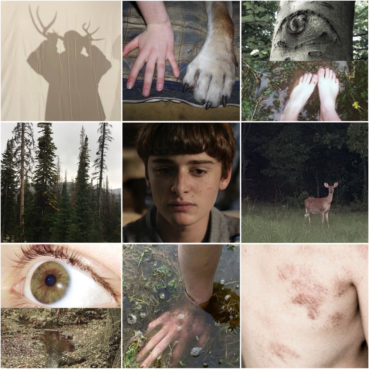 link0_lq's tweet image. i always knew i would spend a lot of time alone
no one would understand me,
maybe i should go and live amongst the animals
#willbyers