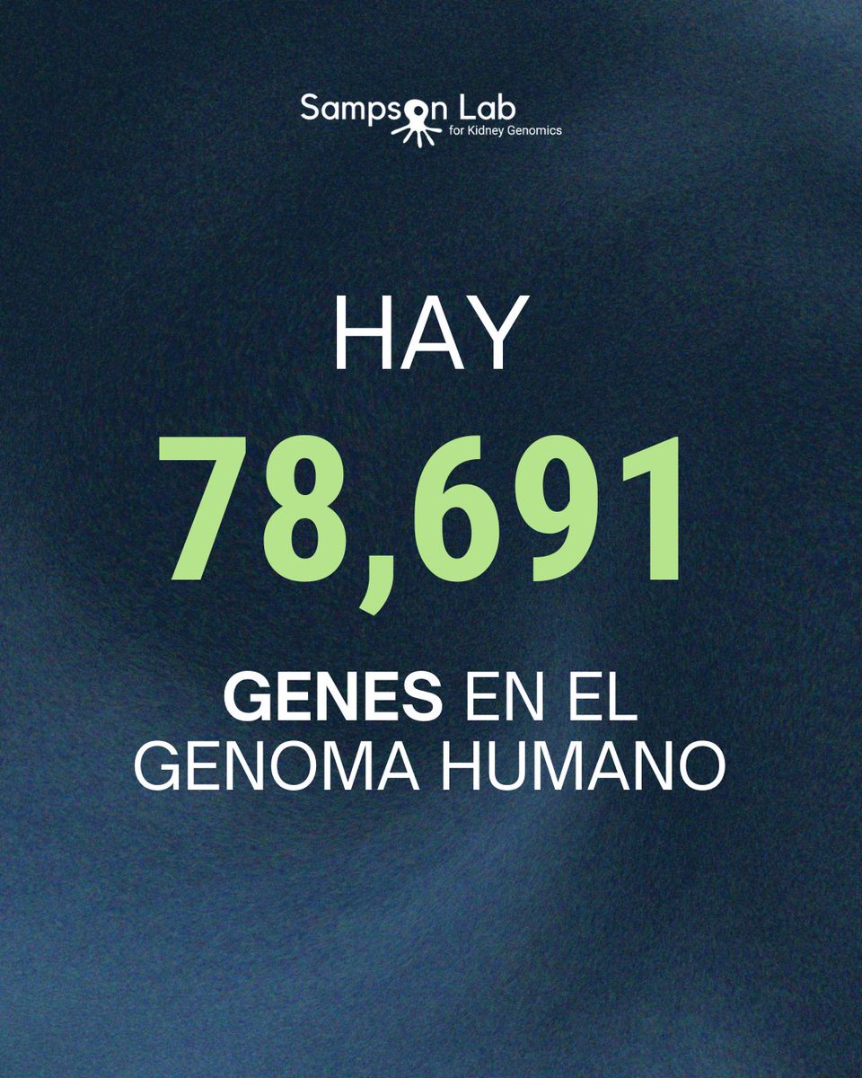Sampson Lab for Kidney Genomics tweet media