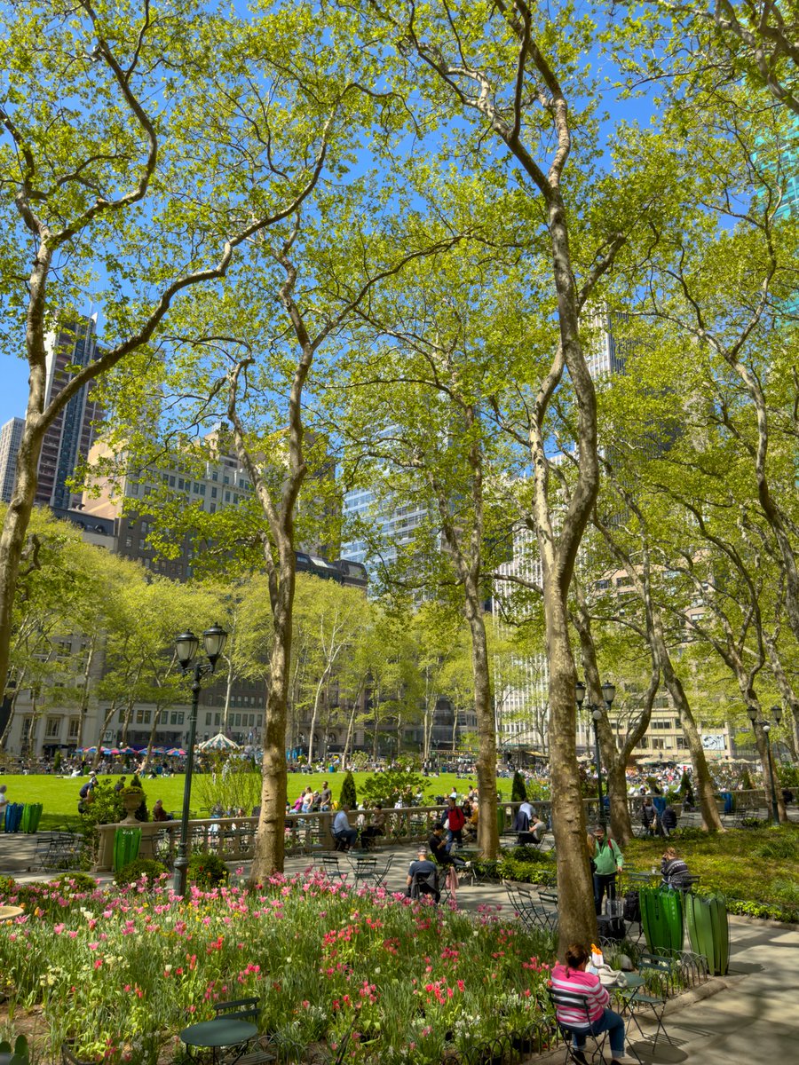 A true oasis in the heart of it all 🌷🌳🏙️.