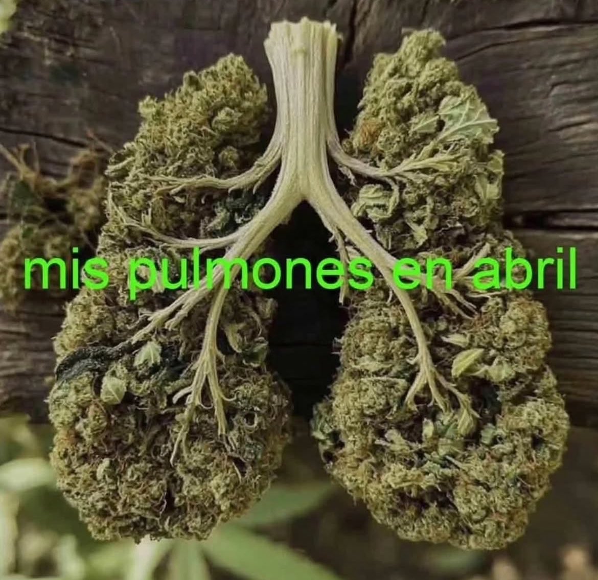 Sr. Weed tweet media