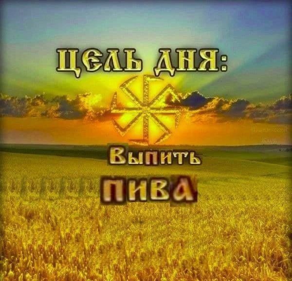 беня молдован tweet media