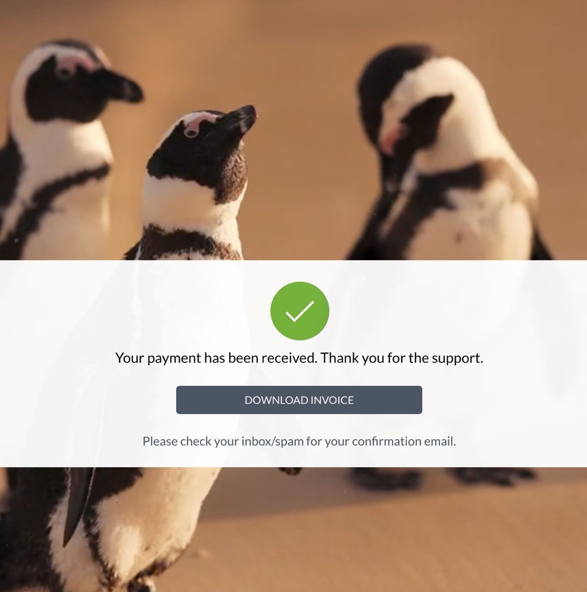 Space Penguin tweet media