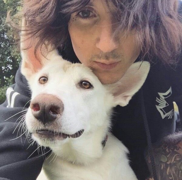 ☆ kota ☆ 14 days til bmth!!! tweet media
