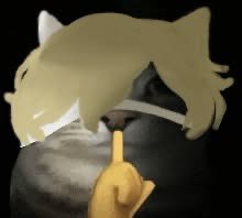 miyaji 🦊 tweet media