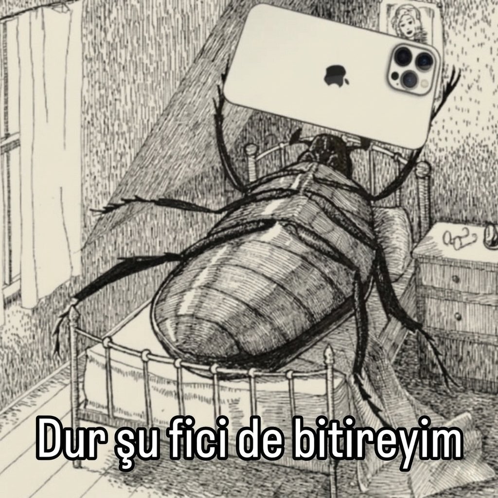 anya✨ tweet media