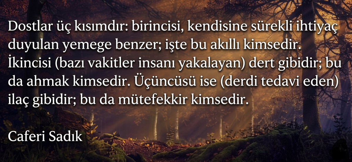 🅁🄴🅂̧🄸🅃 🄴🅁🄳🄾🄶̆🄰🄽 🖋️📖 tweet media