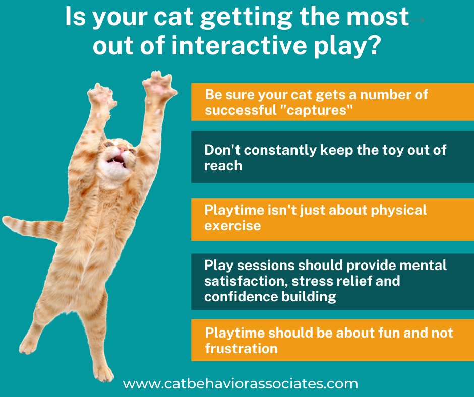 Interactive play sessions are great for cats for so many reasons, but be careful that you aren't creating frustration by always keeping the toy out of reach or always in motion. Interactive playtime is so beneficial for confidence building so be sure your cat gets plenty of