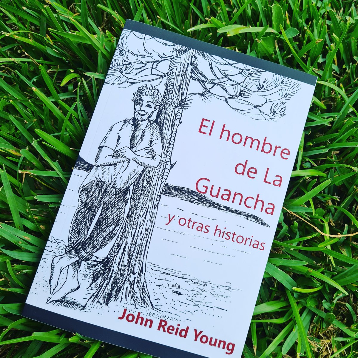 reidten's tweet image. Un maravilloso viaje en el tiempo por las Islas Canarias. #historias #amor #humor e intriga #Historia #relato #libros #LibrosRecomendados #Historias #literatura #Canarias #Cultura #Tenerife #escritor #MemoriaHistórica
amazon.es/dp/8409260743