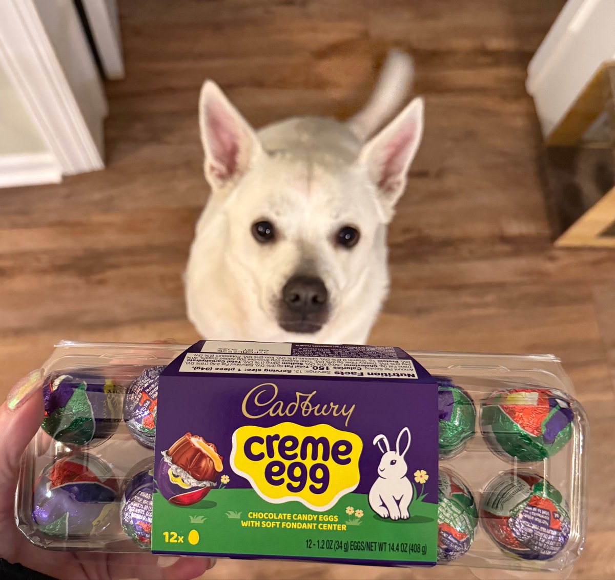 Kerry Slone(Stilettos&Shotguns) tweet media