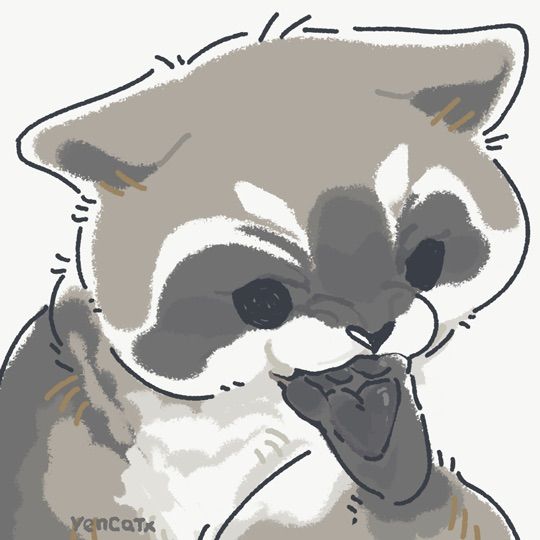 silly raccoons & pandas tweet media