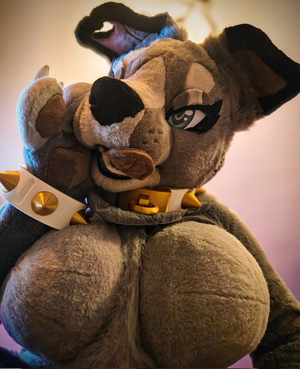 ✨️💋𝓡𝓪𝓳𝓪🐾✨️ tweet media