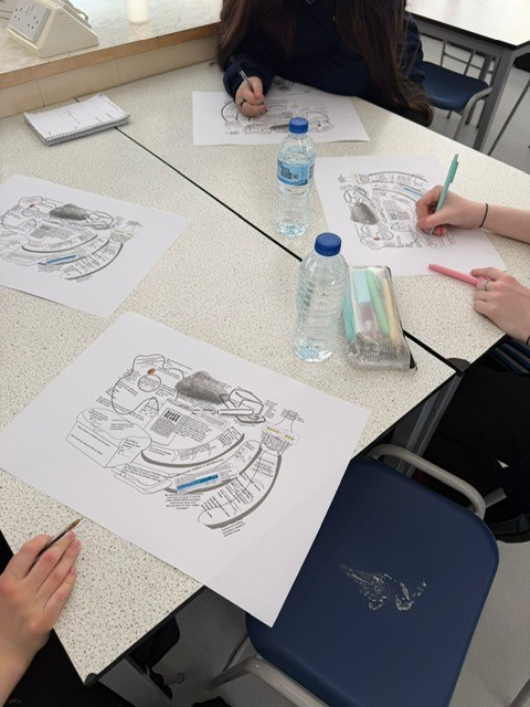 BournvilleSch's tweet image. Great to see our Year 11 students getting creative with their revision in Food 🍳📚

From practical techniques to hands-on learning, they’re exploring innovative ways to make key knowledge stick. A brilliant approach as exams get closer!

#FoodTech #RevisionSkills #GCSEReady