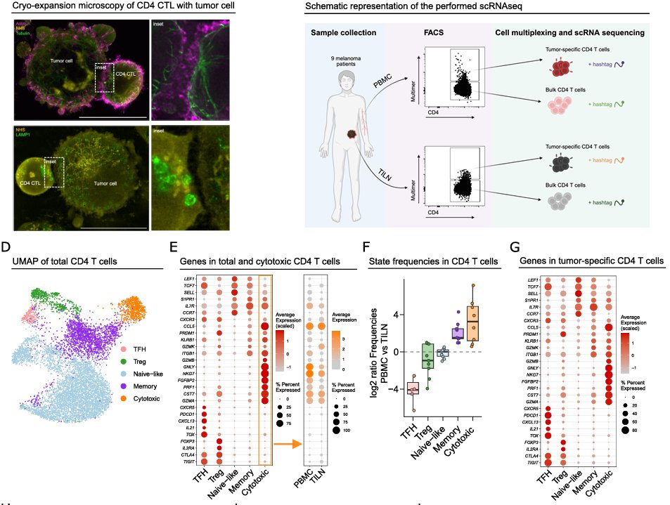 Waggoner Lab tweet media