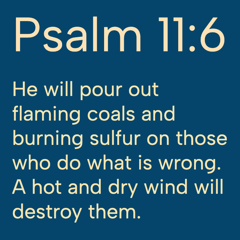 Daily Bible tweet media