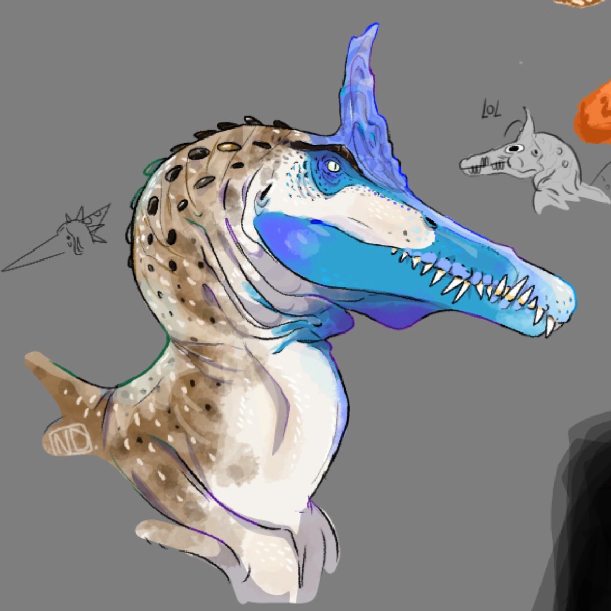 Nd_drawing08's tweet image. Spinosaurus Mirabilis

#drawing #paleoart #dinosaur