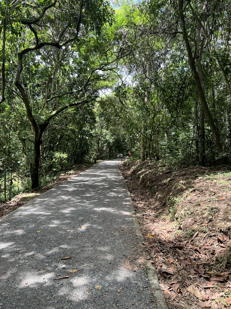 ed3452748's tweet photo. 🍃🌴✨ https://t.co/W4YvIj66O8