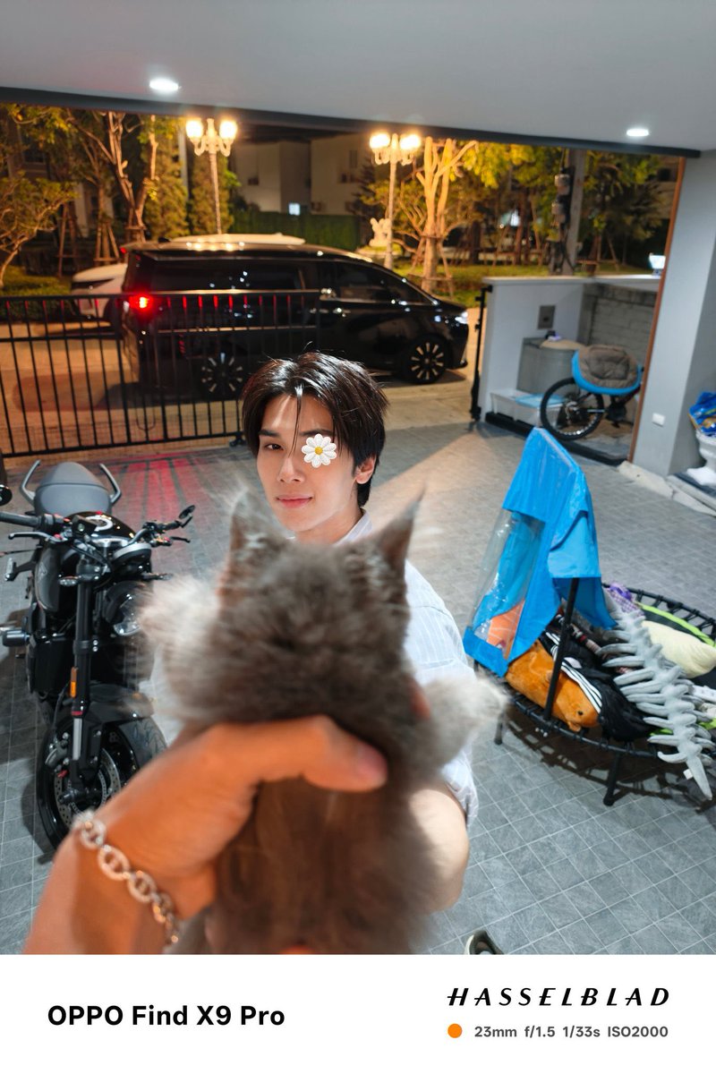 Lily🫧🧸 tweet media