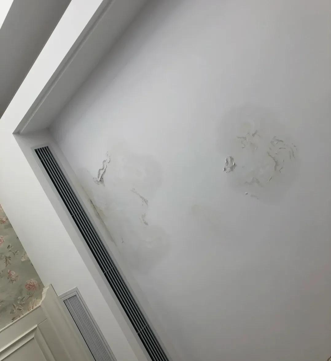 Lily tweet media