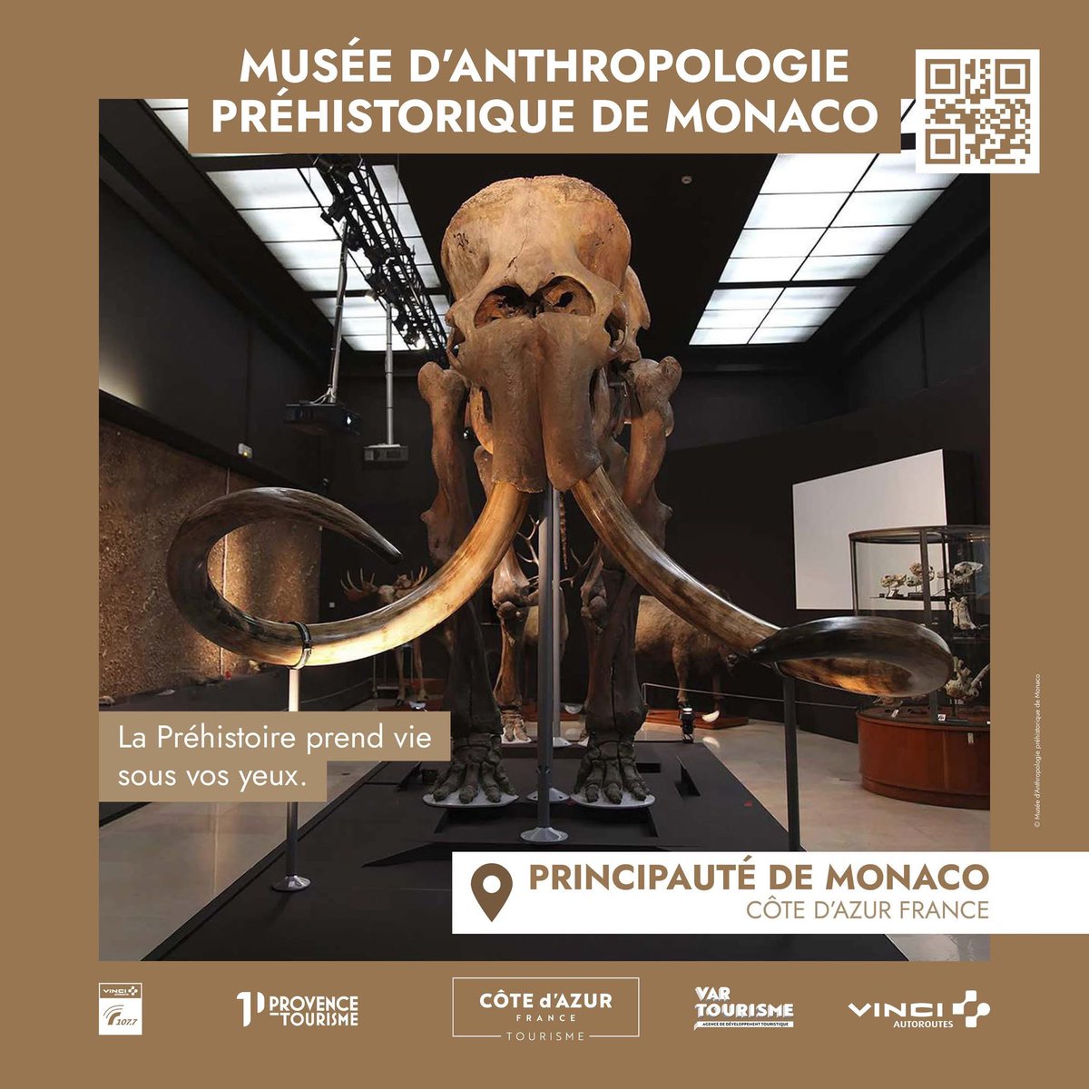 Musée d'Anthropologie préhist. de Monaco tweet media